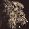 Profile Picture of Perrypiper (@@perrypiper) on Tiktok