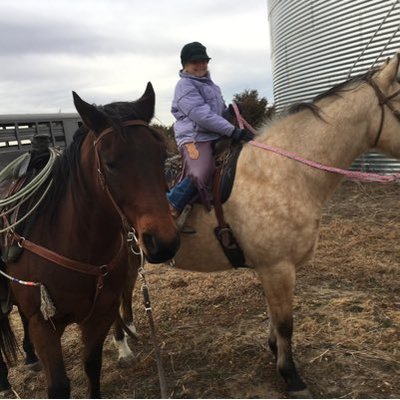 Profile Picture of Curt Thiele (@curt_thiele) on Twitter