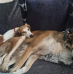 Profile Picture of Ralph Parton (@Ralph-Parton) on Facebook