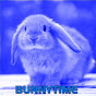Profile Picture of iBunnyTime (@@iBunnyTime) on Tiktok