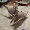 Profile Picture of Kevin Gaddy (@@user7181439092267) on Tiktok