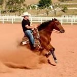 Profile Picture of David Marques Ribeiro (@david_marquesribeiro) on Instagram