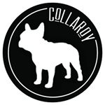 Profile Picture of Dog Clothes & Accessories (@collaroydogs) on Instagram