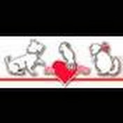 Profile Picture of Martin Downs Animal Hospital (@MDAHosp) on Youtube