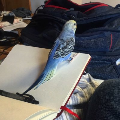 Profile Picture of Iankeim (@iankeim1) on Twitter