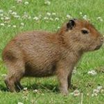 Profile Picture of Gregory Luntzel (@gregoryluntzel) on Instagram