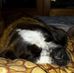 Profile Picture of Jim Wiedeman (@jim.wiedeman.9) on Facebook
