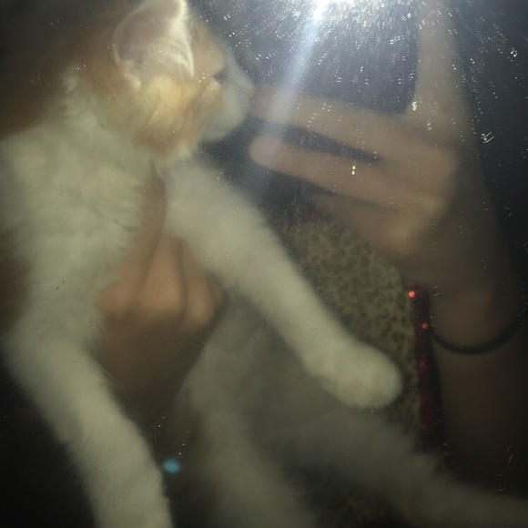 Profile Picture of Ivy Greene (@ivygreene56) on Poshmark