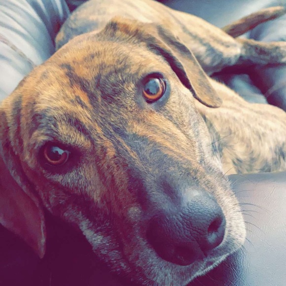 Profile Picture of Joshua Shipp (@shippwreck95) on Poshmark