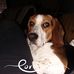 Profile Picture of Valerie Lackey (@valerie.lackey.56) on Facebook
