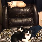 Profile Picture of Robert A. Kohne (@tuffy8250) on Instagram