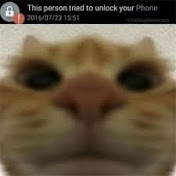 Profile Picture of Dolph (@Dolph-l9n) on Youtube