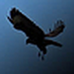 Profile Picture of Andre Jansen (@andrejan) on Flickr