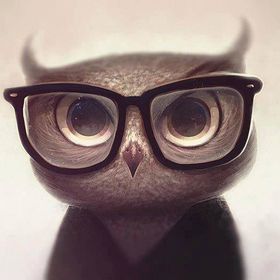 Profile Picture of Max eddy (@coxedsp3) on Pinterest