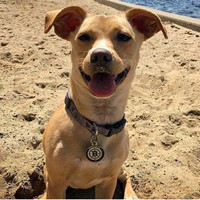 Profile Picture of Julia Spellman (@julia-spellman-1) on Quora