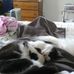 Profile Picture of Wilma Holbrook (@wilma.holbrook.3) on Facebook