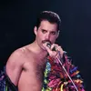 Profile Picture of Freddie Mercurys ghost (@freddiemercurysghost) on Tiktok