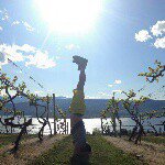 Profile Picture of Timothy Greer (@vitalityvibes) on Instagram