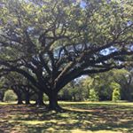 Profile Picture of Michael C. Smith (@ignatzs5) on Instagram