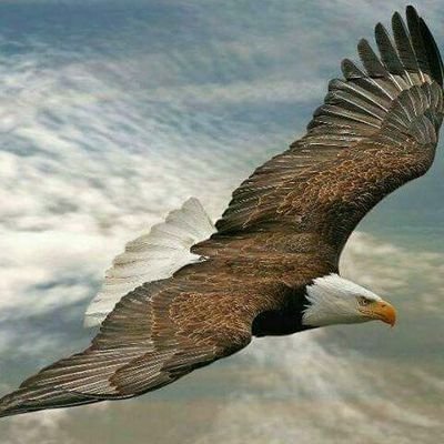 Profile Picture of Joel Casanova (@joelcasanova22) on Twitter