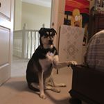 Profile Picture of Vincent Mortellaro (@vincentmortellaro) on Instagram