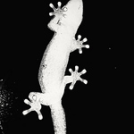 Profile Picture of Andrew Hankey (@andrewhankey) on Flickr