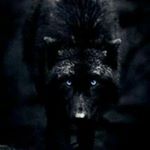Profile Picture of Justin Franklin (@franklin.justin) on Instagram