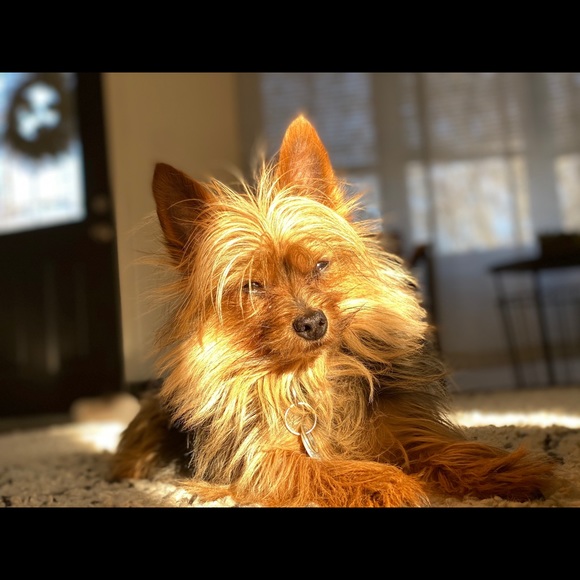 Chuck Jecklin - Poshmark Profile Picture of Chuck Jecklin (@chuckjecklin) on Poshmark