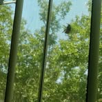 Profile Picture of Michael Hart (@michael.hart.646513) on Facebook