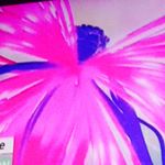 Profile Picture of Bozkurt Laurz (@bouchout) on Instagram