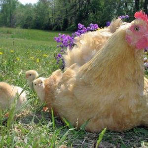 Profile Picture of Mauricio Porras (@369864797) on Myspace