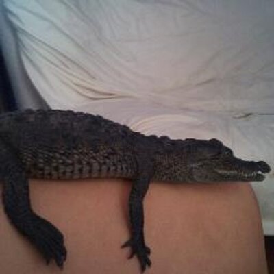 Profile Picture of Daniel Arjona (@danielarjona4) on Twitter