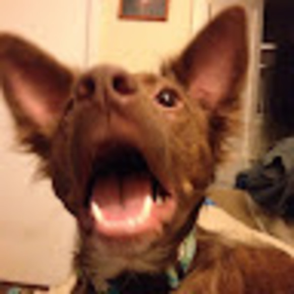 Profile Picture of Jared Stulen (@jaredstulen) on Poshmark