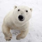 Profile Picture of Fernando Acosta (@fa_acostab) on Instagram