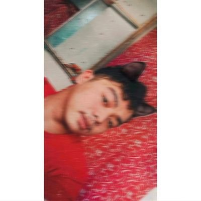 Profile Picture of Michael Ducati (@MichaelDucati2) on Twitter