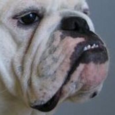 Profile Picture of Ken Gray (@KenGray) on Twitter