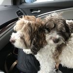 Carl-Zenon romanowski - Instagram Profile Picture of Carl-Zenon romanowski (@carlzenon) on Instagram