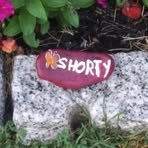 Tammy Toro - Facebook Profile Picture of Tammy Toro (@Tammy-Toro) on Facebook