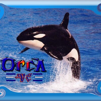 Profile Picture of Josh Biehler (@oceanblue4you) on Twitter