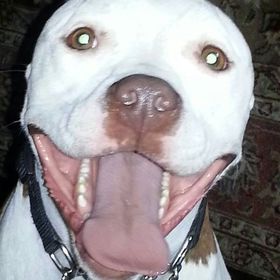 Profile Picture of Joseph Sarao (@jsarao28) on Pinterest