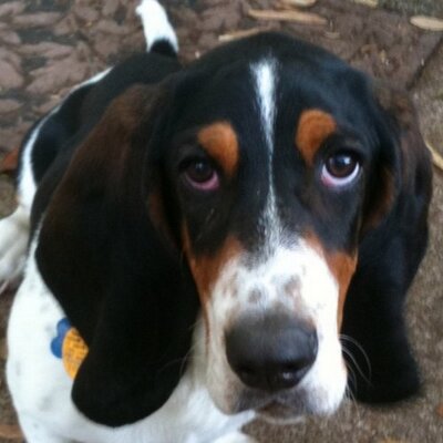 Profile Picture of Scott A Wilcox (@sawilcox99) on Twitter