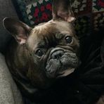 Profile Picture of Tim Sarsby (@tim.sarsby) on Facebook