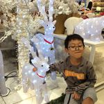 Profile Picture of HelloSeth (@sethadrianyo) on Instagram