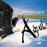 Profile Picture of Arnoldo Monroy (@arnlldo) on Instagram