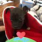 Profile Picture of Pamela Grissom (@pamela.grissom.2025) on Facebook