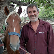 Profile Picture of Diego Mario Dangelo Let´s Talk Horse (@hablemoscaballo) on Youtube