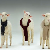 Profile Picture of Tsui-Yin Tsai (@tsui-yintsai8556) on Youtube