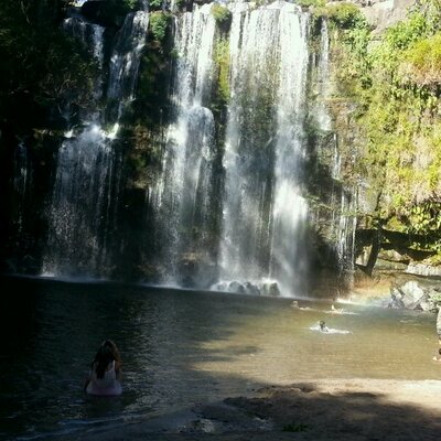 Profile Picture of Aileen Alvarado (@AileenAlvarad14) on Twitter