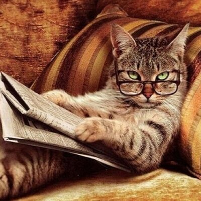 Profile Picture of Sharon Gibbons (@84slg) on Twitter