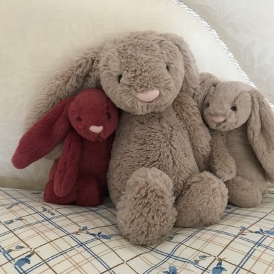 Jacques 🇫🇷 🇪🇺#FBPE  💙 - Twitter Profile Picture of Jacques 🇫🇷 🇪🇺#FBPE  💙 (@JacquesStraub) on Twitter